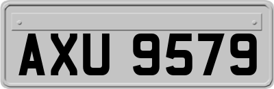 AXU9579