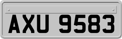 AXU9583