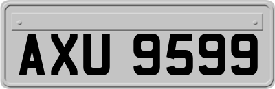 AXU9599