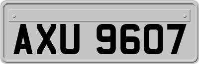 AXU9607