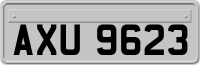 AXU9623