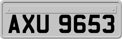 AXU9653