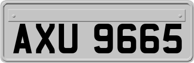 AXU9665
