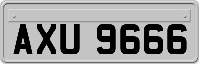 AXU9666