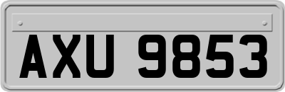AXU9853