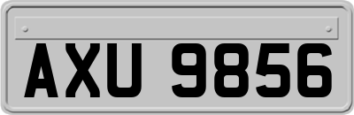 AXU9856