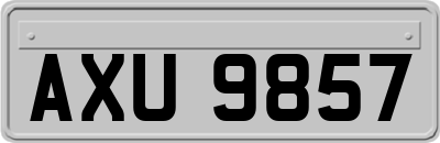 AXU9857