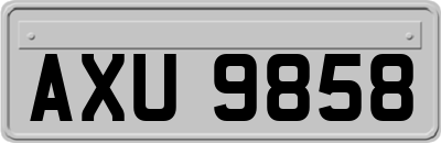 AXU9858