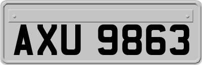AXU9863