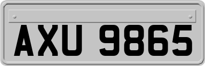 AXU9865
