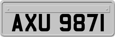 AXU9871