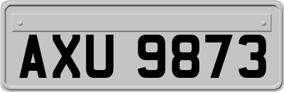 AXU9873