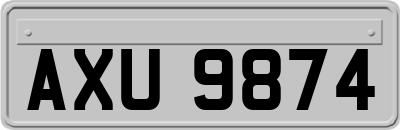 AXU9874