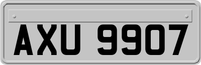 AXU9907
