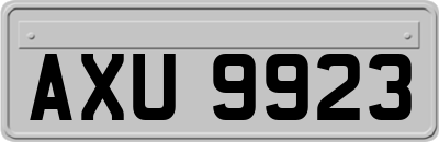 AXU9923