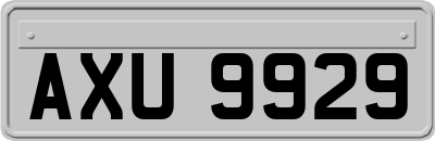 AXU9929
