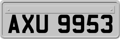 AXU9953