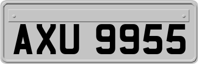 AXU9955