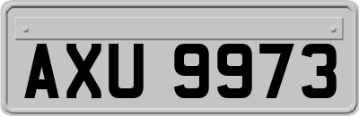 AXU9973