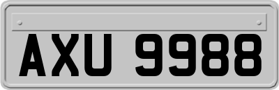 AXU9988