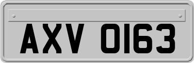 AXV0163