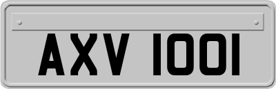 AXV1001