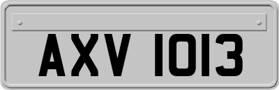 AXV1013