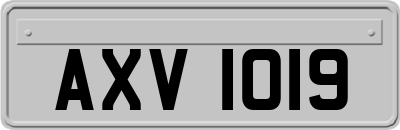AXV1019