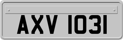 AXV1031