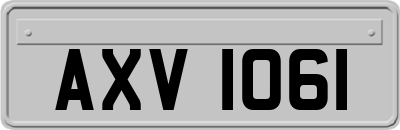 AXV1061