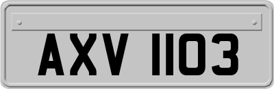 AXV1103