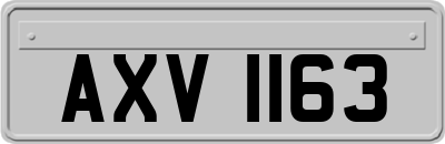 AXV1163