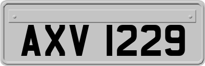 AXV1229
