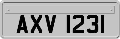 AXV1231
