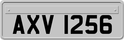 AXV1256