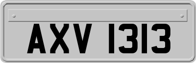 AXV1313