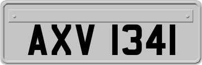 AXV1341