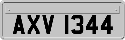 AXV1344