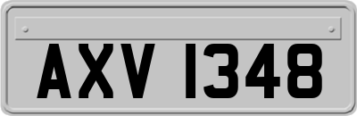 AXV1348