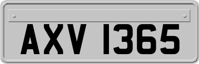 AXV1365