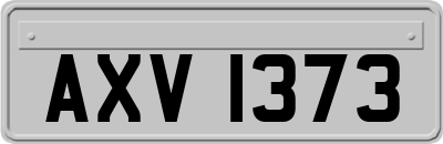 AXV1373