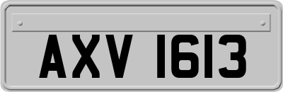 AXV1613