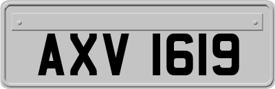 AXV1619