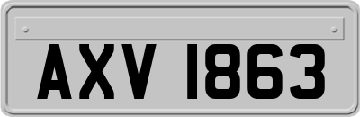 AXV1863
