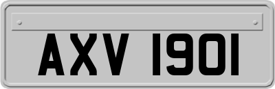 AXV1901
