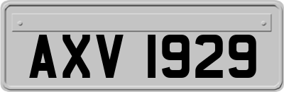 AXV1929