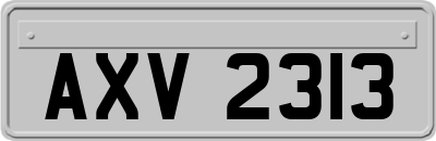 AXV2313