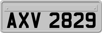 AXV2829