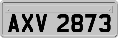 AXV2873