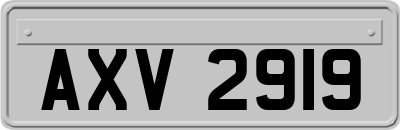 AXV2919
